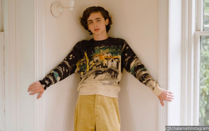 Timothee Chalamet to Bring Henry V to Life in Netflix's 'The King'