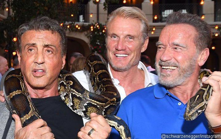 Arnold Schwarzenegger Goofs Off With Sylvester Stallone and Dolph Lundgren