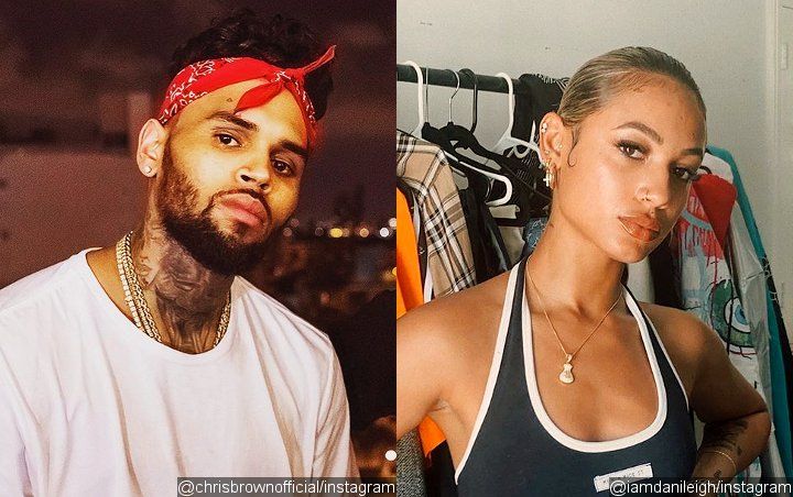 Chris Brown Claims He's DaniLeigh's 'Bae' in Flirty Comment