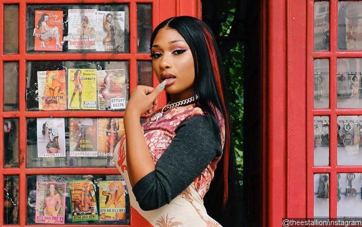 Shooting of Megan Thee Stallion's 'Hot Girl Summer' Video Cut Short by Police