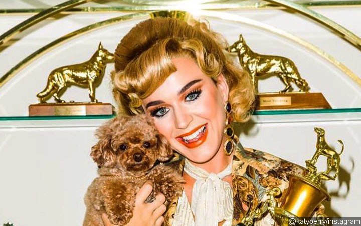 Katy Perry Puts the Spotlight on Her Pet Dog in 'Small Talk' Video