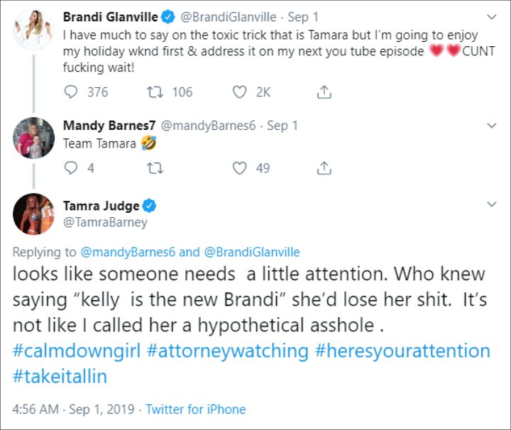 Brandi Glanville attacks Tamra Judge on Twitter