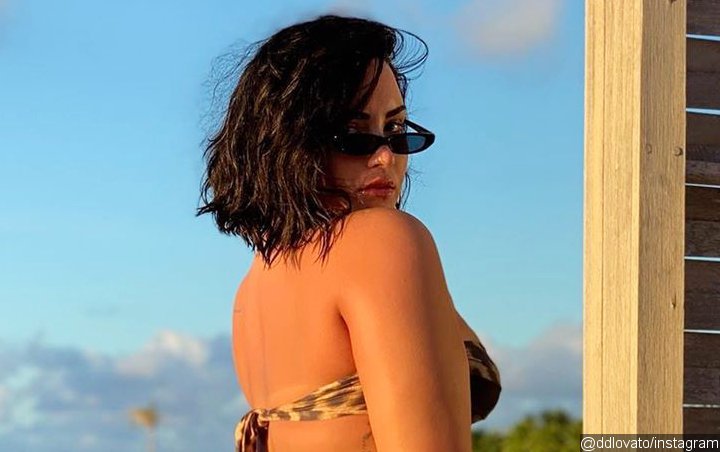 Demi Lovato Praised for Showing Off Her Cellulite in New Bikini Photo