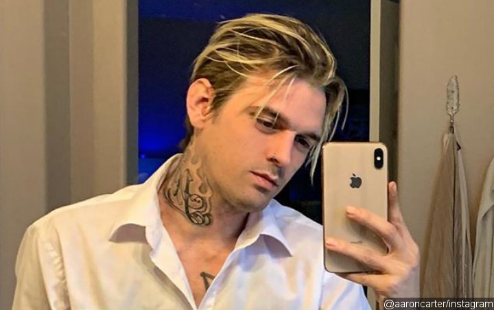 Aaron Carter Sells and Surrenders Gun Collection Amid Siblings Drama