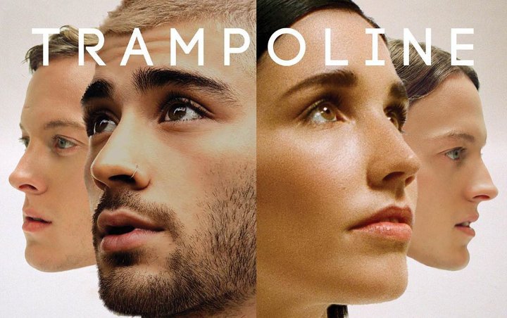 Zayn Malik Returns to Social Media With 'Trampoline' Release