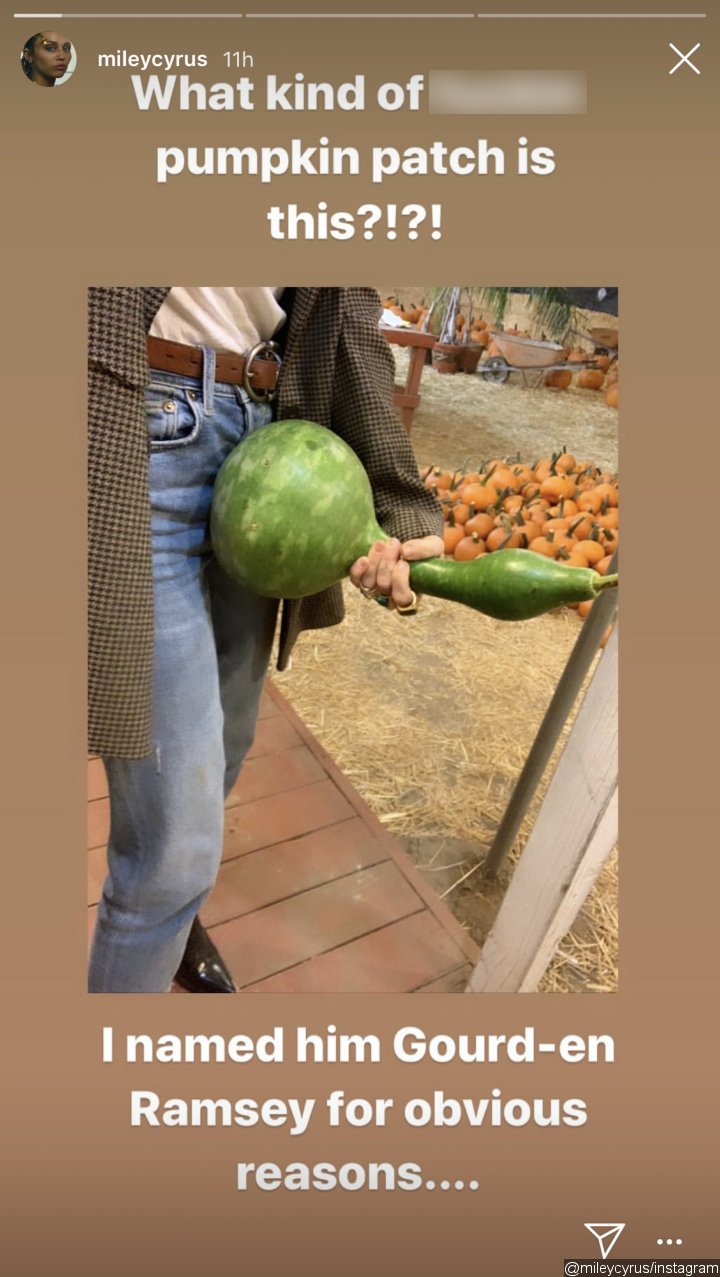 Miley Cyrus Shares Sexually Suggestive Picture From Pumpkin Patch Visit