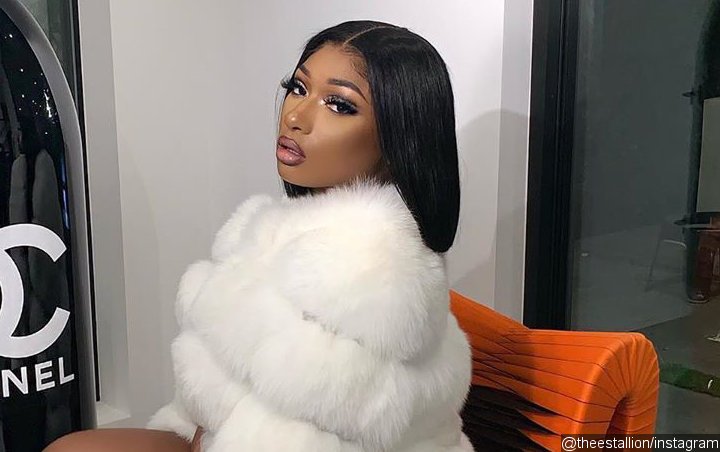 Megan Thee Stallion Fiercely Hits Back at Troll Telling Her to Get Nose Job
