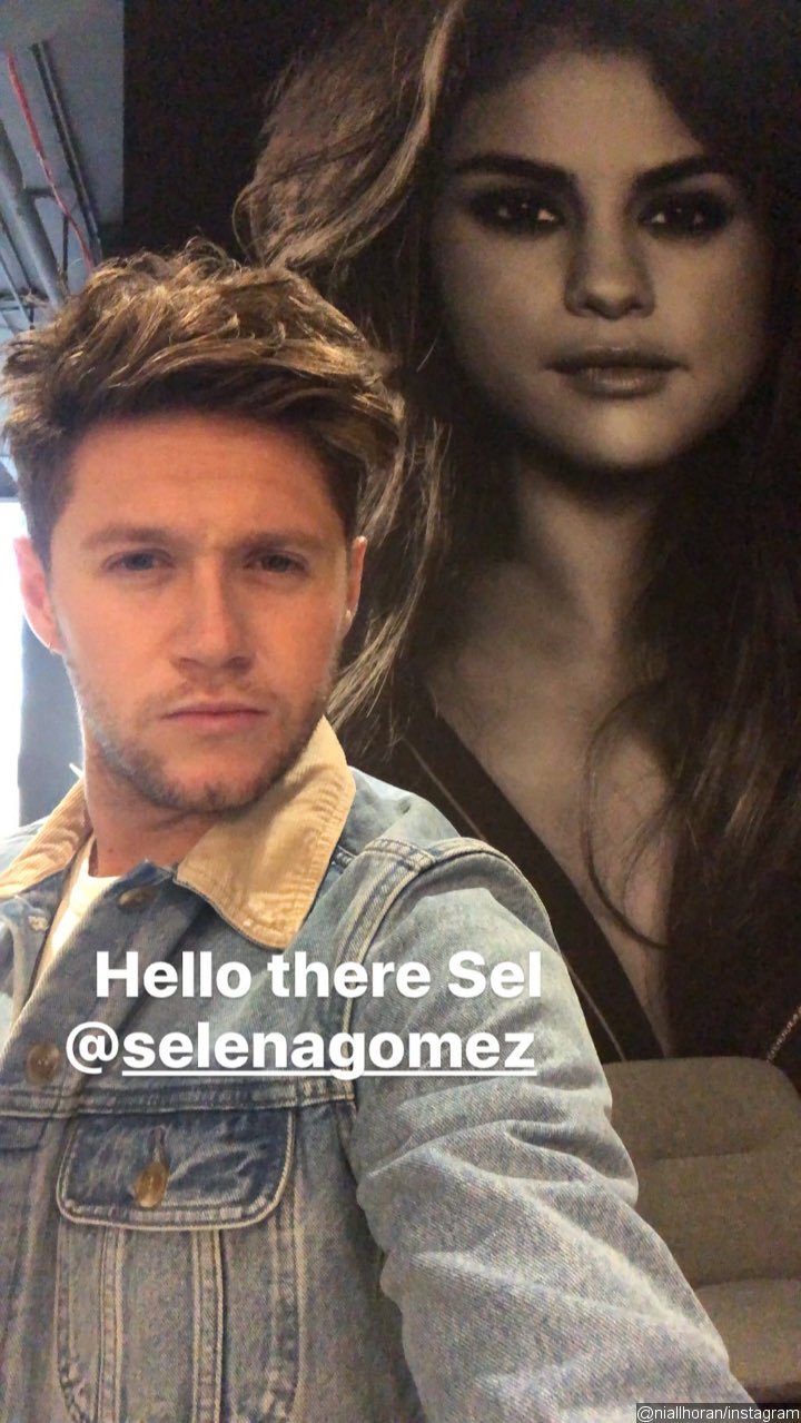Niall Horan Gives Selena Gomez a Shout-Out on Instagram Amid Romance Rumors