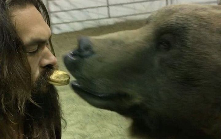 Jason Momoa Sparks Outrage After Posting Grizzly Bear Video