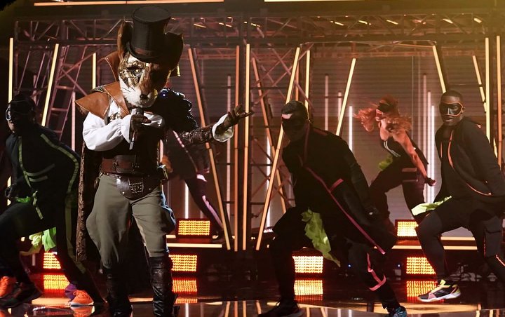 'The Masked Singer': The Fox Is Season 2 Winner - Find Out His Identity!