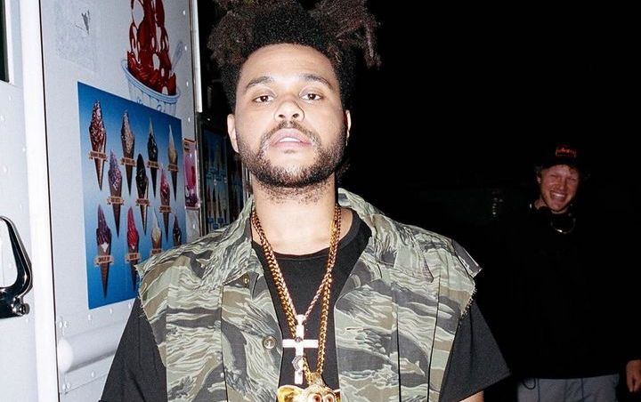 The Weeknd Hounded by Fans for New Album