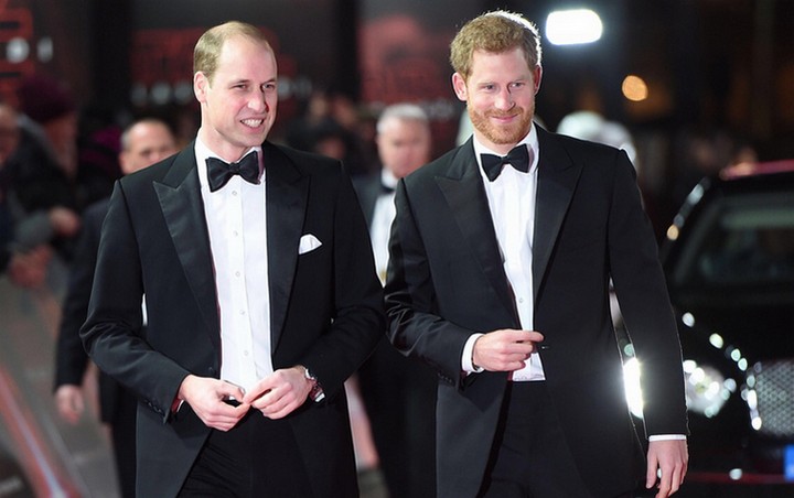 Prince Harry and Prince Williams Shoot Down Feud Rumors