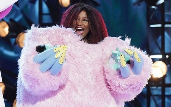 Chaka Khan Will Never Do Anything Like 'Masked Singer' Again Following Elimination