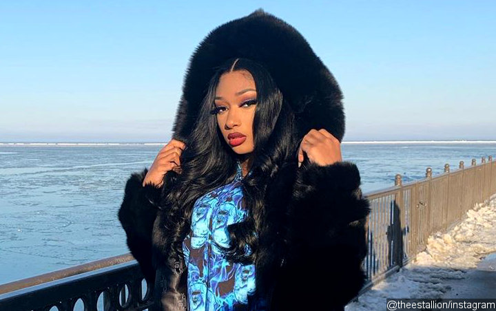 People Convinced Megan Thee Stallion's Lying About Going to College Because of This