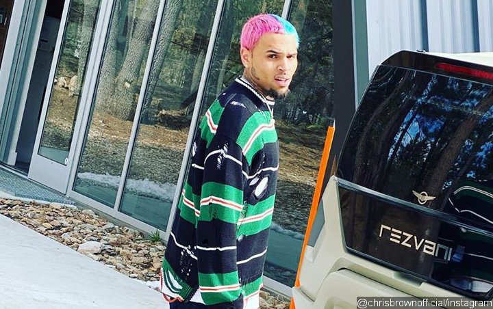 Chris Brown Irritates People for Bragging About STD-Free After 'Long Weekend of Partying'