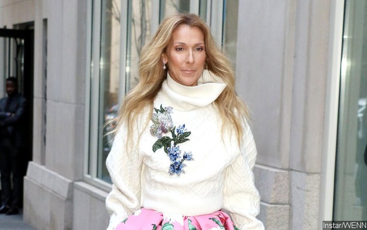 Celine Dion's Illness Leading to Postponement of Two Shows Not Related to Coronavirus 