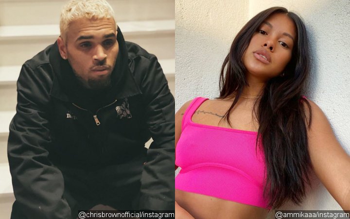 Chris Brown Professes Love for Ammika Harris After Caught in Alleged Threesome With Other Girls