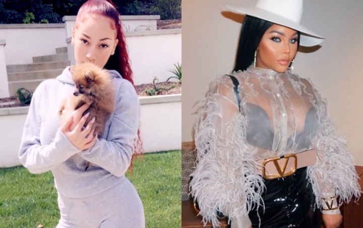 Bhad Bhabie Accuses Lil' Kim of Getting Plastic Surgery to Look Like White People