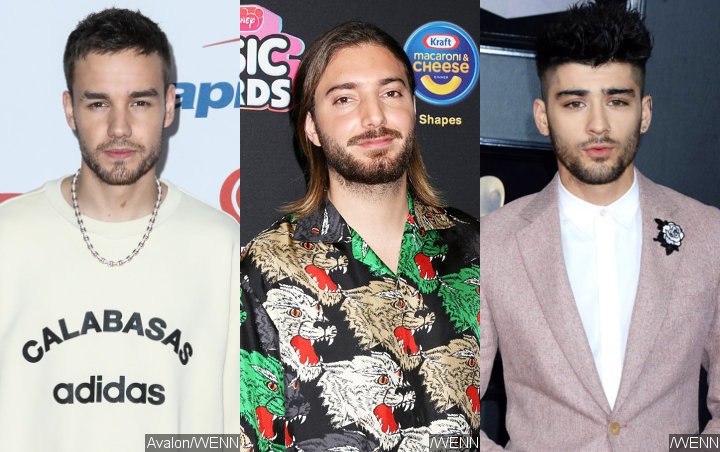  Liam Payne Asks DJ Alesso to 'Fill In' for Zayn Malik During One Direction's 10 Year Reunion