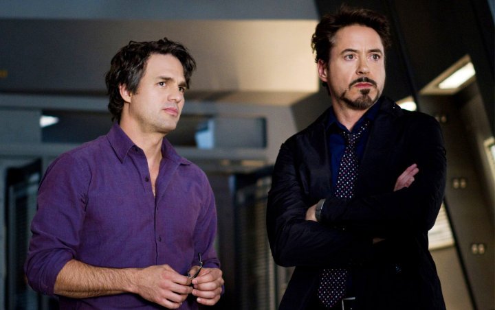 Mark Ruffalo Spills What Robert Downey Jr. Told Him That Convinced Him to Take on The Hulk