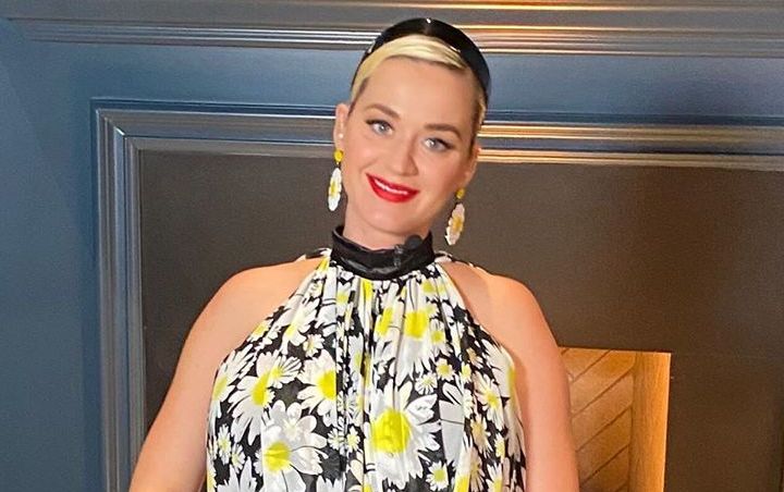 Katy Perry Tapped for Elon Musk's 'Space Launch' Event