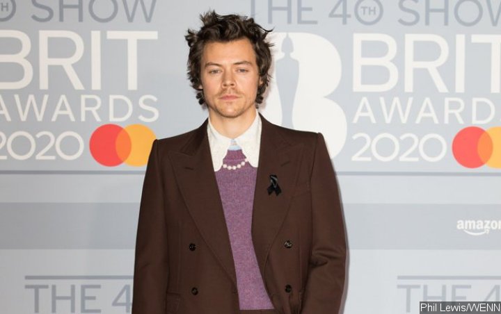 Harry Styles Vows to Learn More About Fight Against Racial Injustice After Postponing 2020 Tour