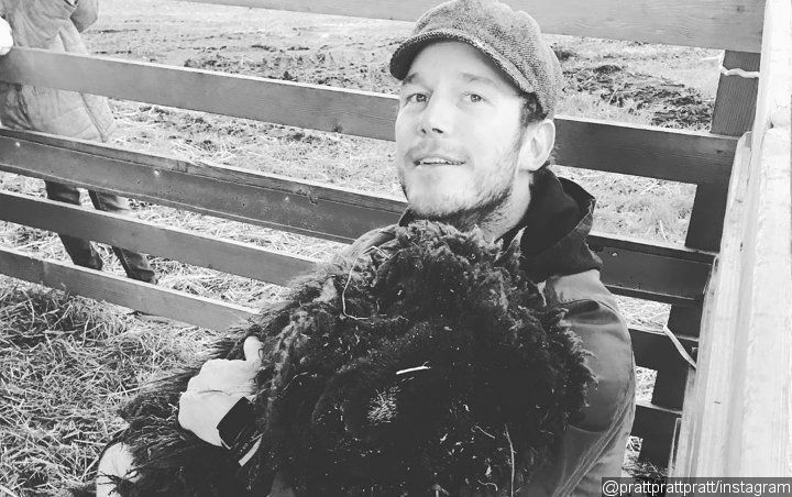 Chris Pratt Saddened by Death of Prince Rupert the Ram