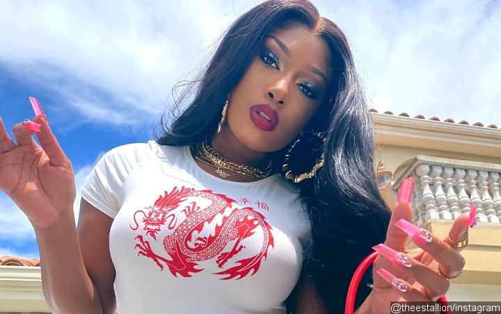 Video of Megan Thee Stallion's Shooting Incident Being Track Down by Los Angeles Police