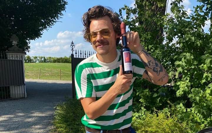 Harry Styles Proudly Shows Off His New 'Mario Moustache' 