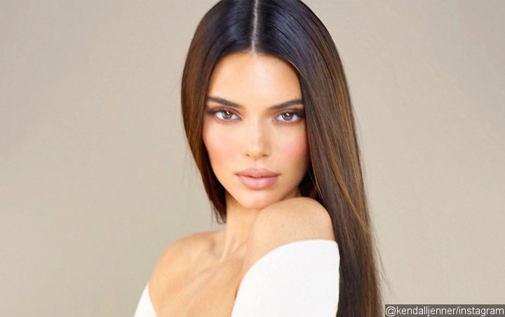 Kendall Jenner Shows Off Her Gold Tub And NSFW Piece Of Art During Home ...