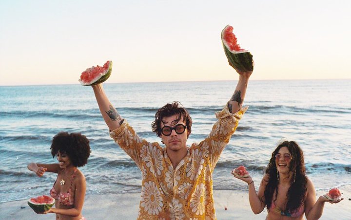 Harry Styles Takes Over Top Spot on Billboard Hot 100 With 'Watermelon Sugar'