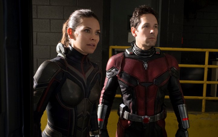 Evangeline Lilly to Share Equal Billing With Paul Rudd in 'Ant-Man 3'