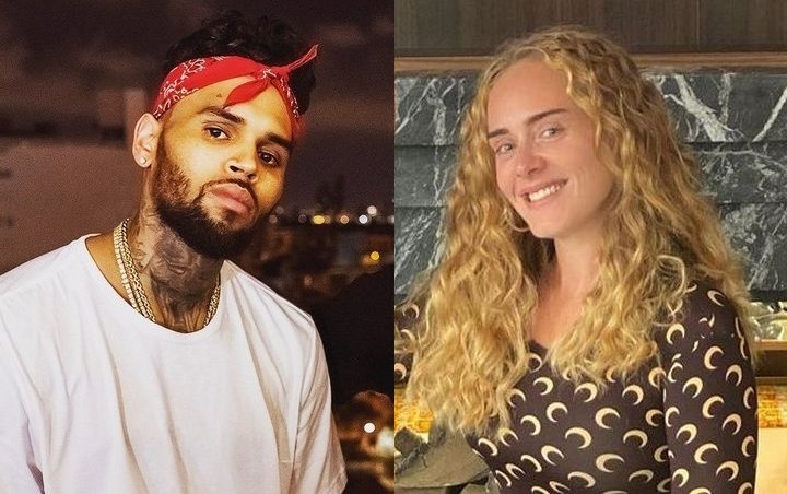 Chris Brown Partying With Adele During Late-Night Visit to Her House