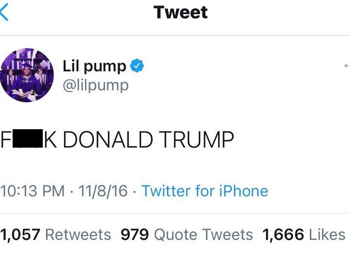 Lil Pump cursed out Donald Trump in the past