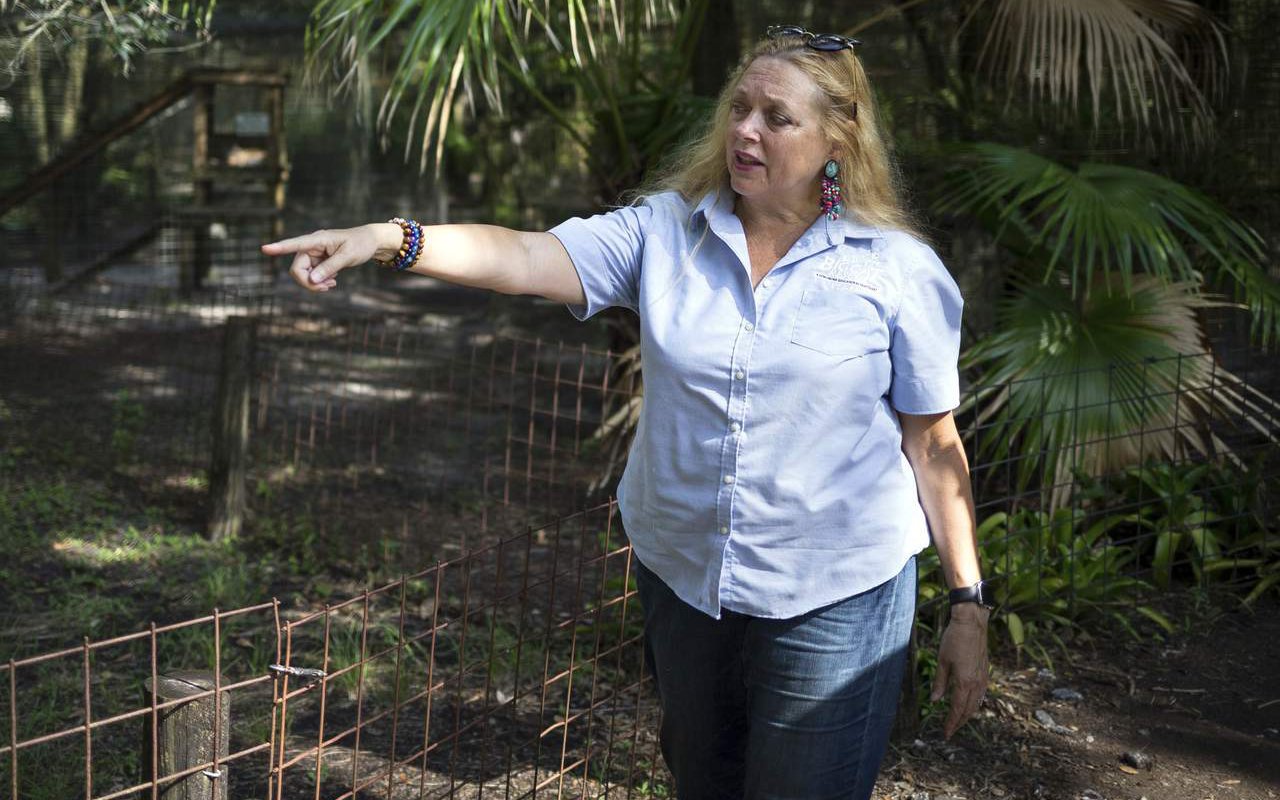 Carole Baskin Blames Tiger Attack Victim for Going Against Her Big Cat Sanctuary's Protocols
