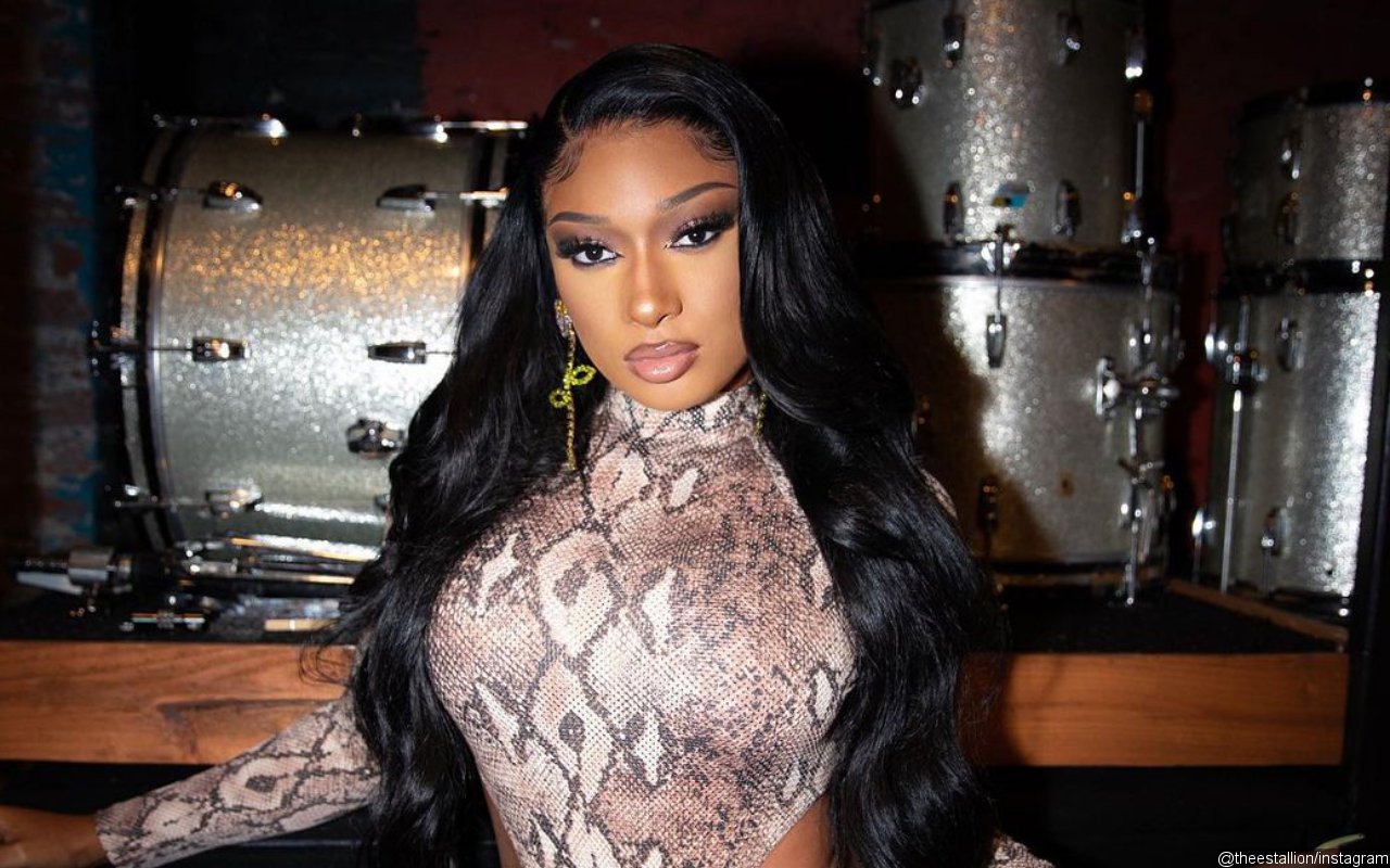 Megan Thee Stallion's Alleged Sister Blasts Her for Neglecting Family