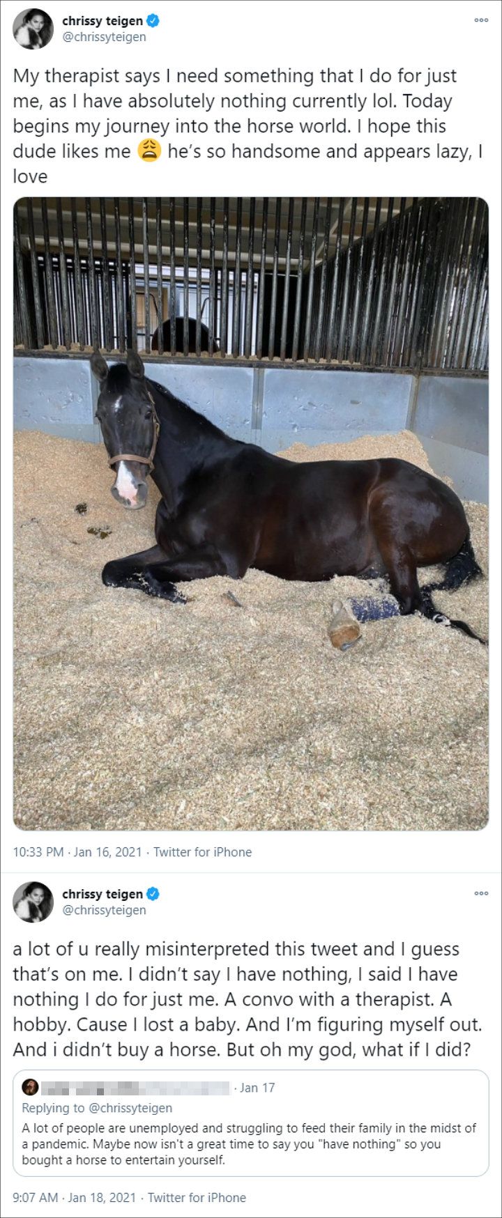 Chrissy Teigen clarified her horse tweet