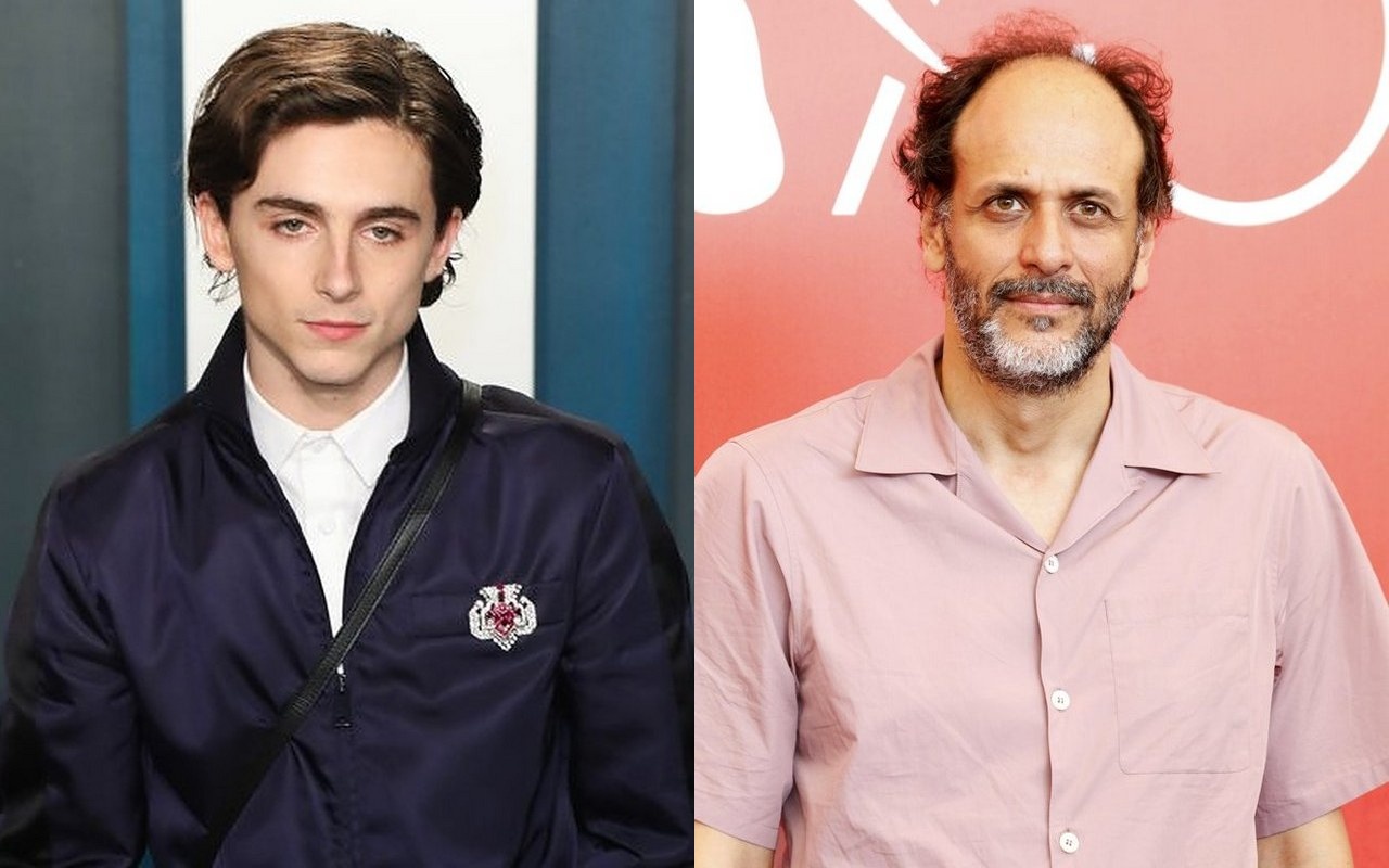 Timothee Chalamet To Reunite With Call Me By Your Name Director For Horror Movie