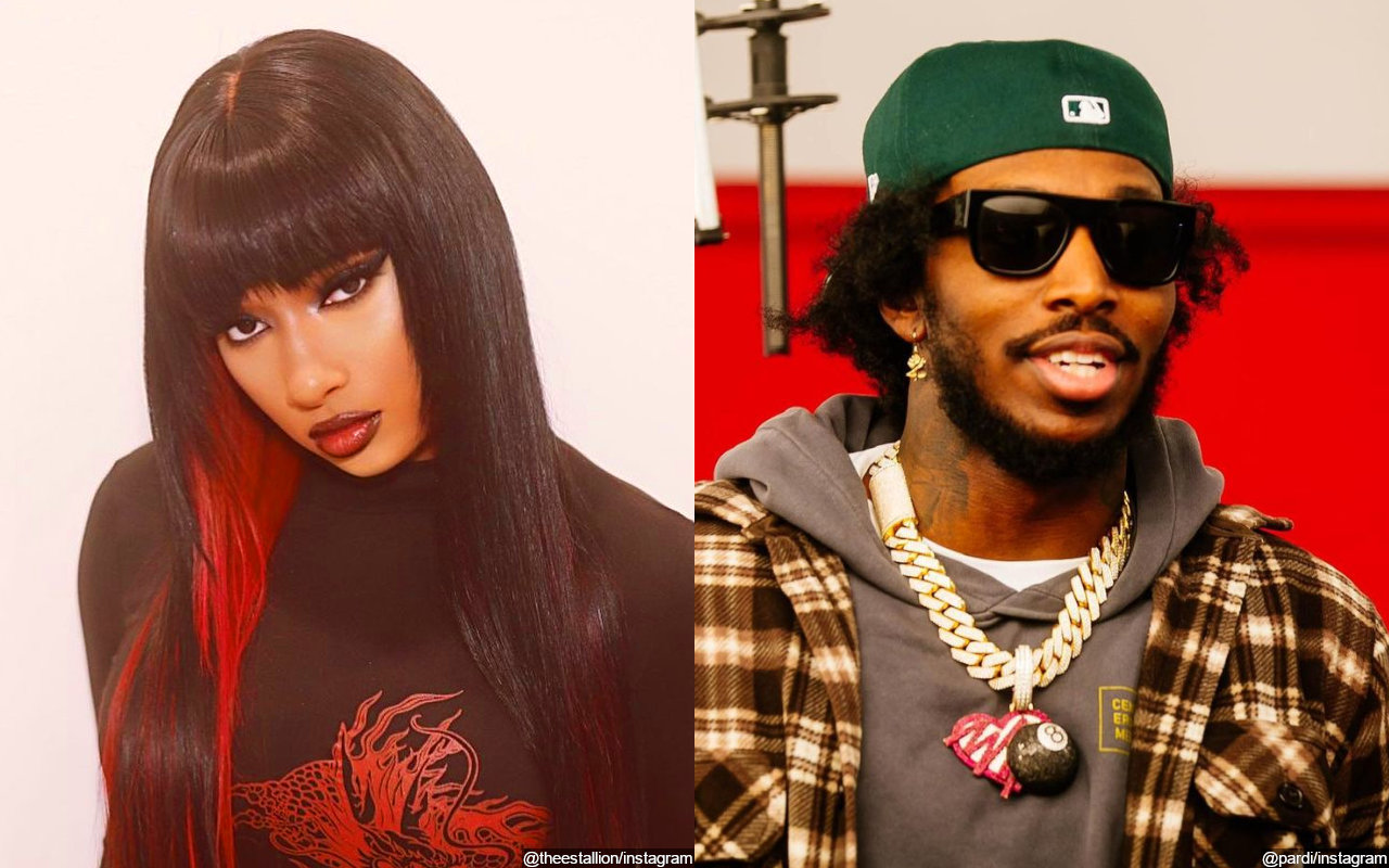 Megan Thee Stallion Defends Beau Pardison Fontaine Amid Concerns Over Alleged Fight Video