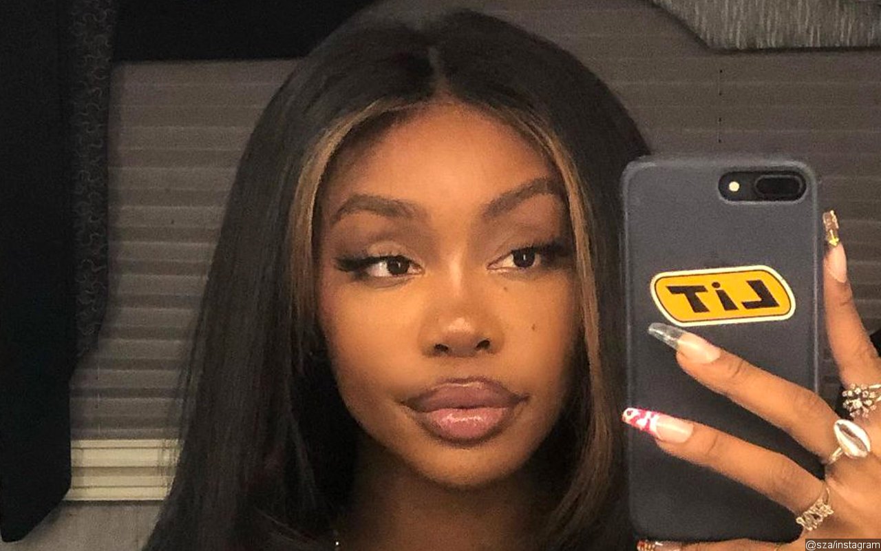 SZA's Fan Exposes Her for Allegedly Lying About Personal Information
