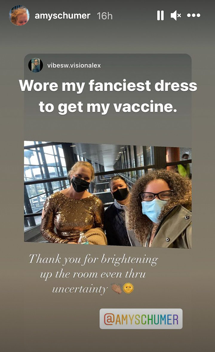 Amy Schumer's IG Story