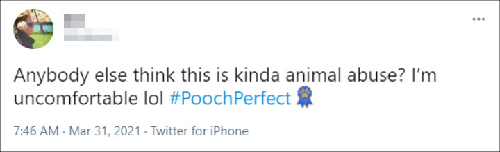 Tweet About 'Pooch Perfect' 01