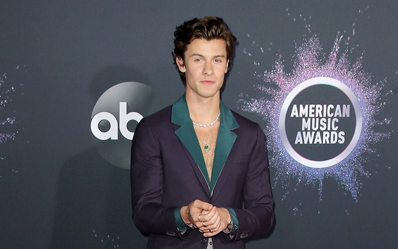 Man Suspected of Stealing Shawn Mendes' Car Has Been Arrested