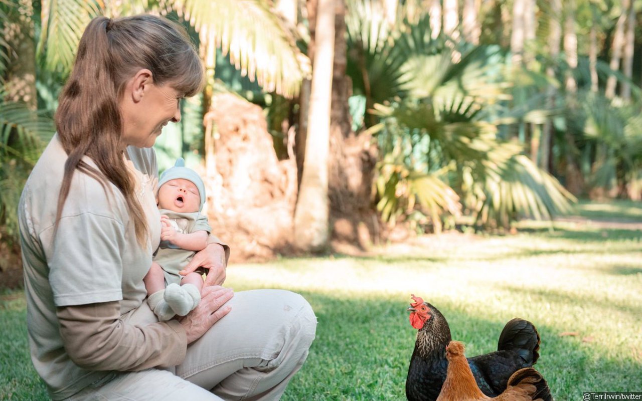 Terri Irwin Introduces Granddaughter to Chickens During 'Most Wonderful Moment'