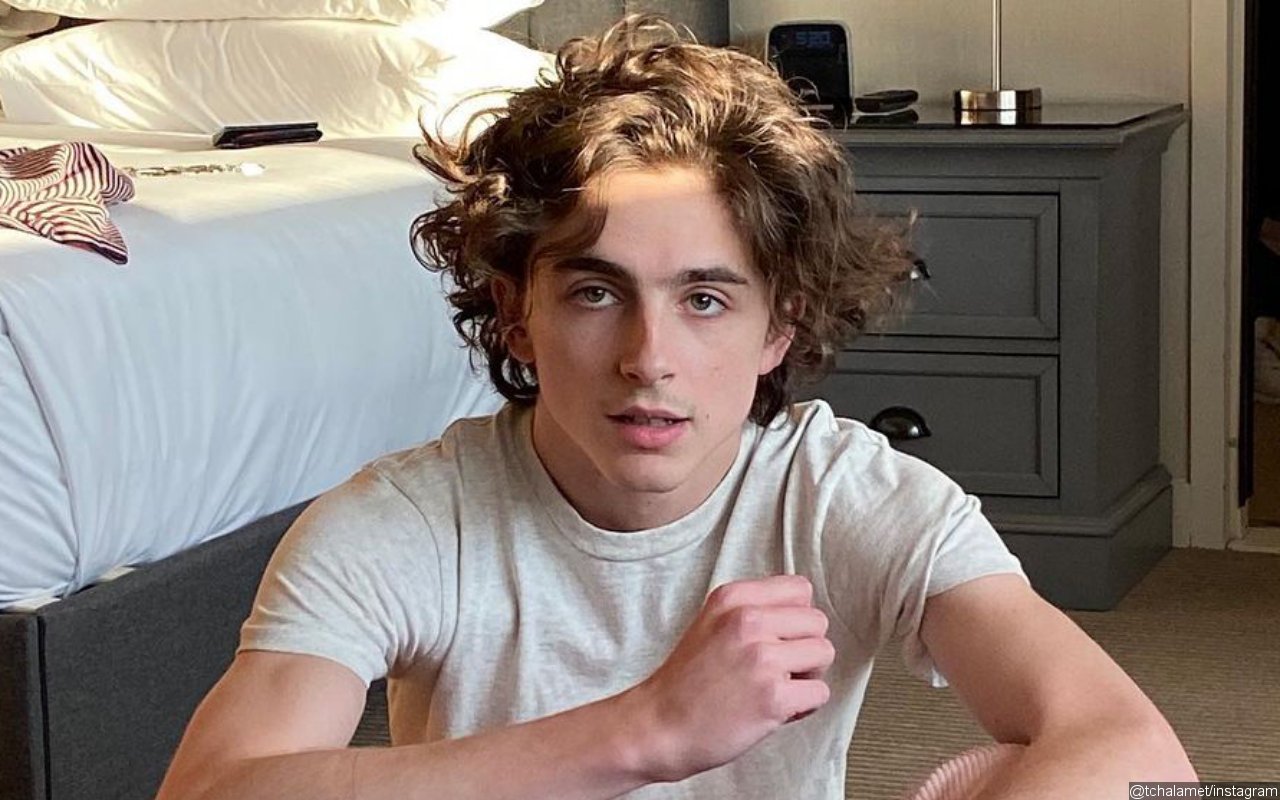 Timothee Chalamet Draws Funny Reactions After Admitting to 'Playing With' Himself on Instagram