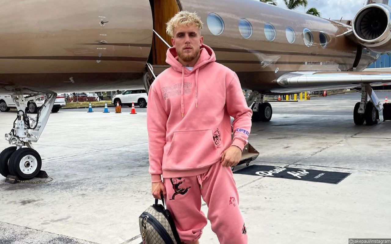 Jake Paul Allegedly Claims To Having No Idea About Turtle Nesting Amid