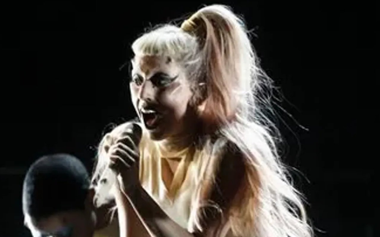 Lady GaGa - 2011 Grammy Awards