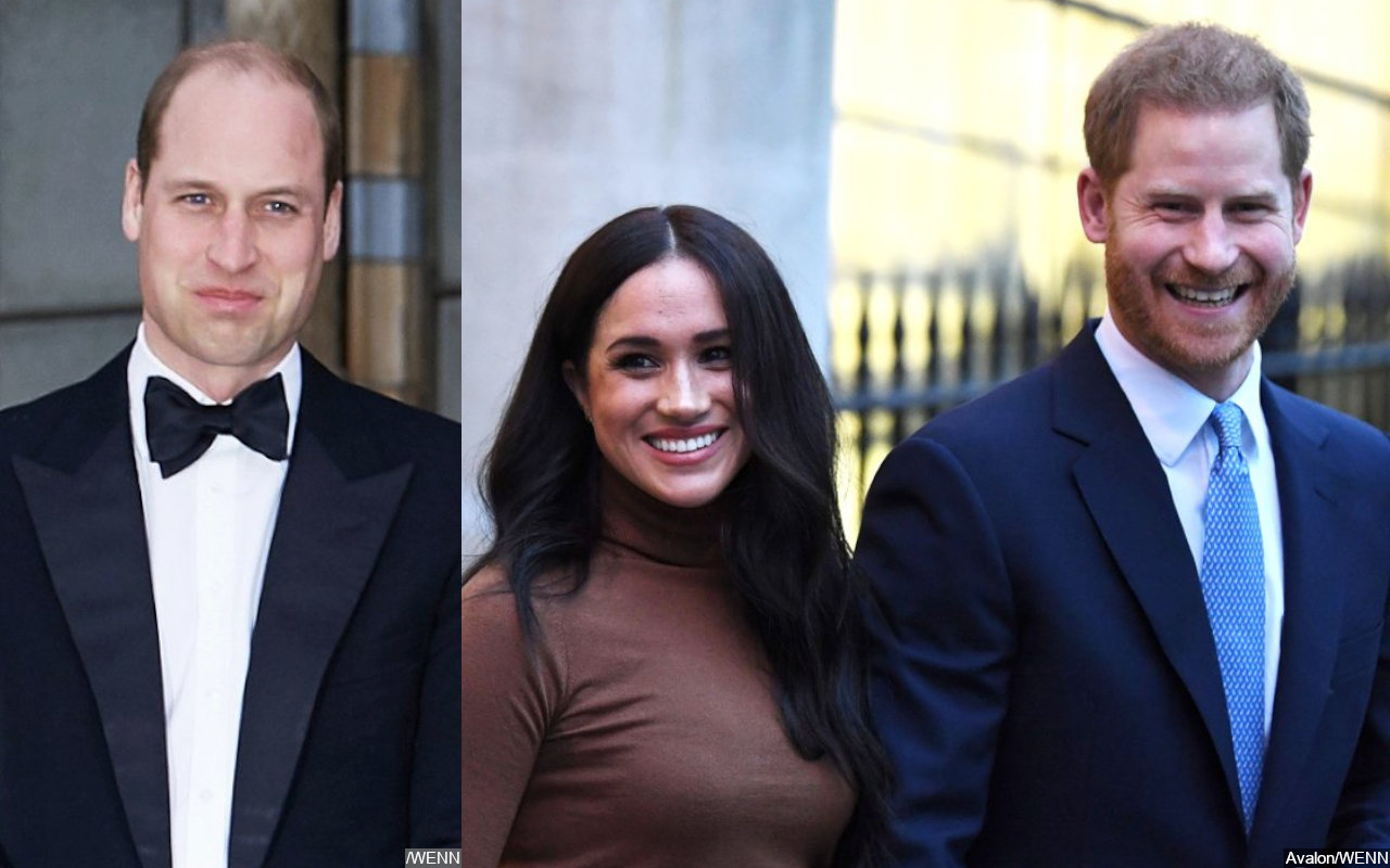 Prince William, Prince Harry Had 'Fierce' Argument Over Meghan Markle's ...