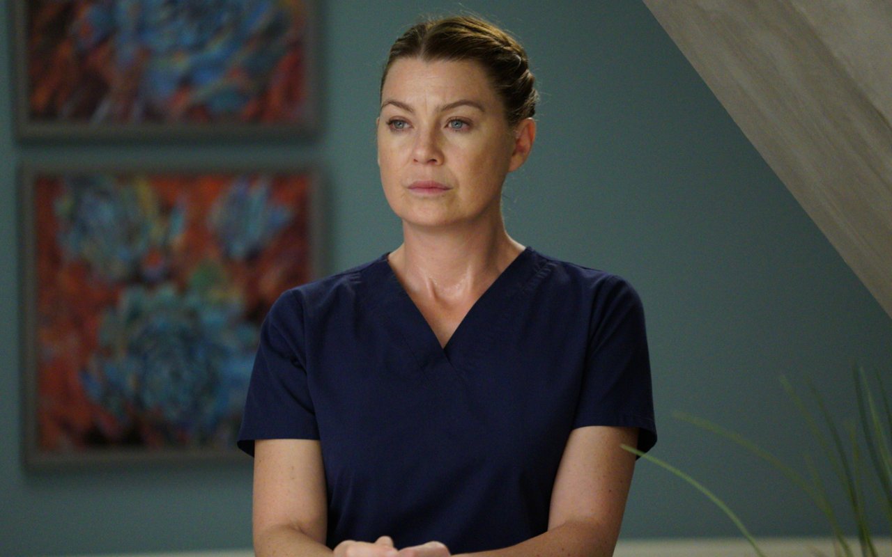 Ellen Pompeo Likely to Focus on Starting Business Instead of Acting After 'Grey's Anatomy'
