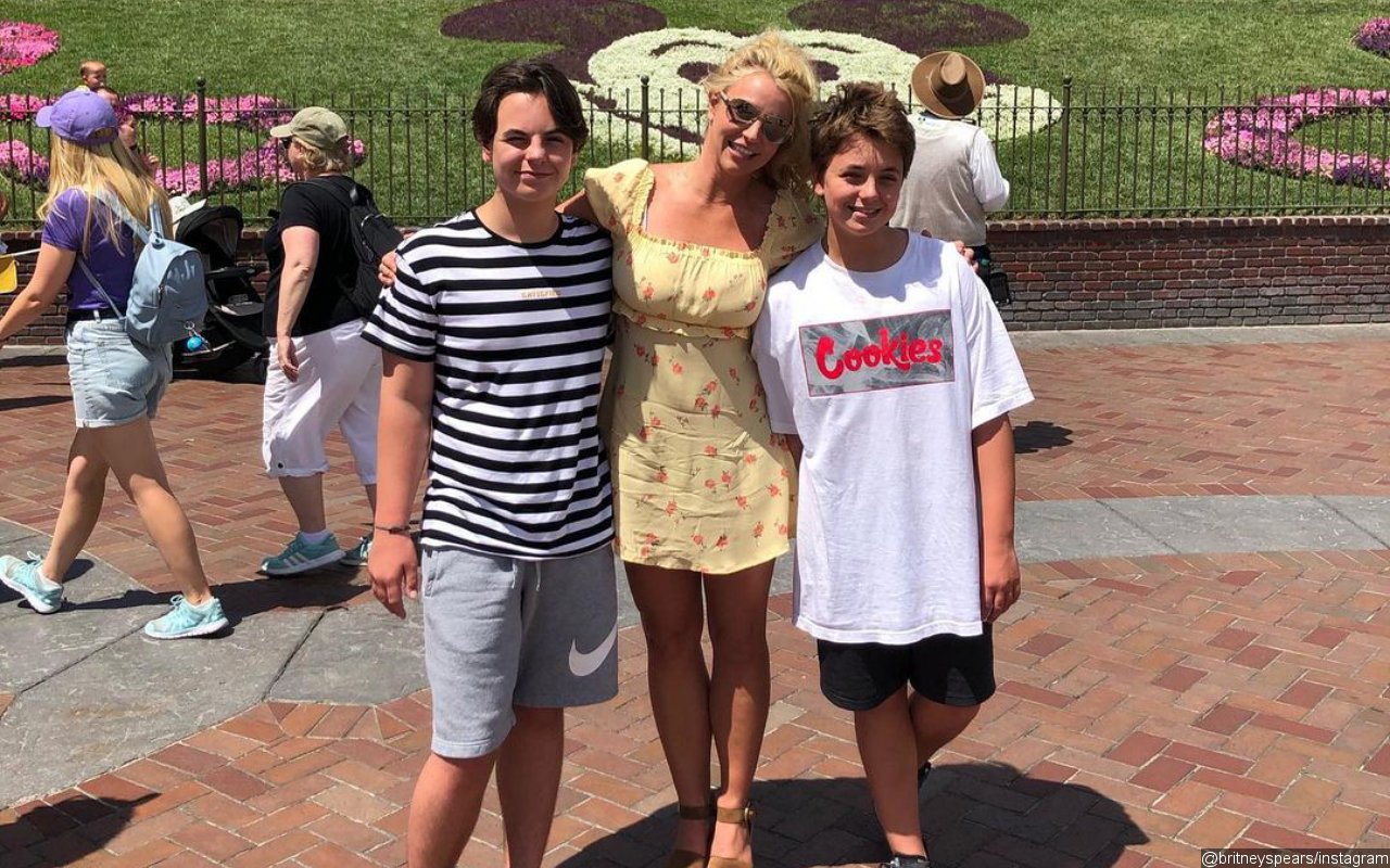 Britney Spears and Ex Kevin Federline's Sons Flash Smiles in Rare Pics 